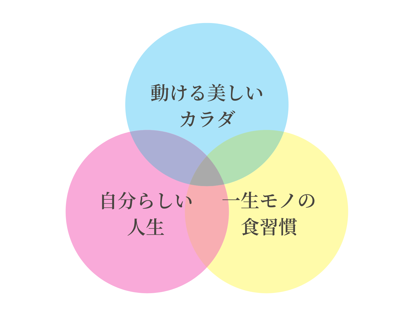 Essential Workout の特徴をまとめた図